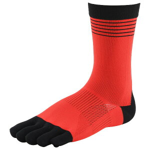 R×LiA[Gj BK-FIVE 5{w\bNX bh/ubN(3010) y~ߕtz