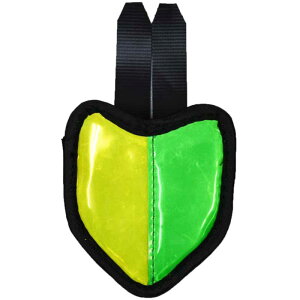 R250 S҃}[NtN^[ t}[N