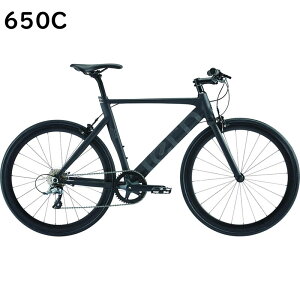 y݌ɂzyzysz2022 Tern ^[ RIP bv }bgubN 650C