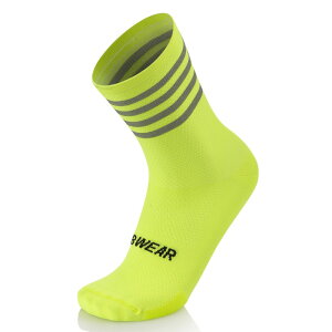 Gr[EFA Night CG[tI \bNX