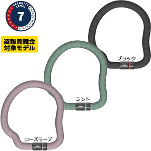 ABUS 6206K/110 bN