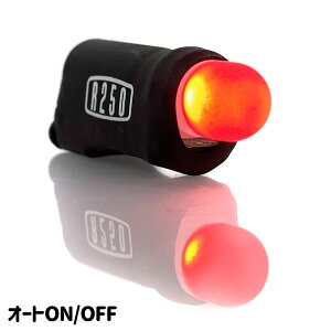 �y���[�z�yM�ցzR250 �t���b�V���I�� �u���b�N ���Z���T�[ ����ON/OFF �����^�e�[�����C�g USB�[�d LINDEN