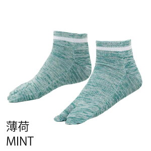 vWFNg y8044za\bNX (Mint)