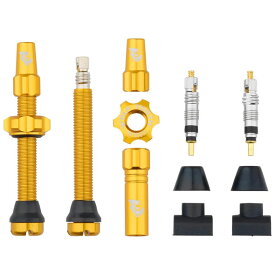 ウルフトゥース チューブレスバルブ ステムキット ゴールド