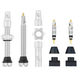 ウルフトゥース チューブレスバルブ ステムキット シルバー