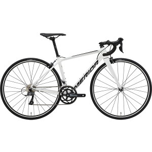 �y�A�E�g���b�g�z�y����s�z25�����_ SCULTURA RIM 100 �z���C�g