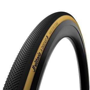 rbgA A.Dugast Pipistrello C TLR `[uXfB 700×33c(33-622) ubN/pTCh fKX