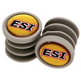 ESIグリップ Bar Plugs Pair グレー