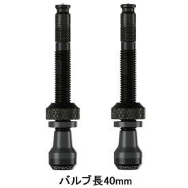 【店内全品P10倍!要エントリー9/11まで】シュワルベ クリックバルブ　チューブレスバルブキット バルブ長40mm[CKB]