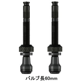シュワルベ クリックバルブ　チューブレスバルブキット バルブ長60mm[CKB]