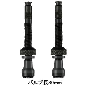 【店内全品P10倍!要エントリー9/11まで】シュワルベ クリックバルブ　チューブレスバルブキット バルブ長80mm[CKB]