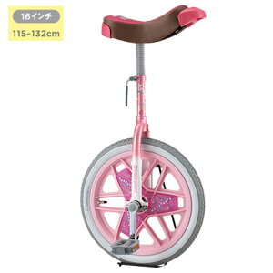 uaXg XPANE ֎ 16C` sN (P6729)