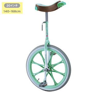 uaXg XPANE ֎ 20C` O[ (P6734)