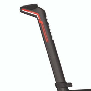 BMC �V�[�g�|�X�g Teammachine SLR01/SLR02 Swiss SB 15mm 15-17