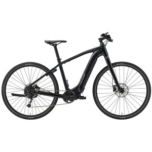 yzysz25_ ePASSPORT200 (2025) GLOSSY BLACK(D-SILVER)