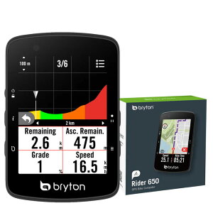 �u���C�g�� Rider 650E (�{�̂̂�) GPS