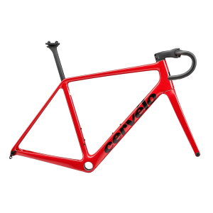 yzysz25T[x R5 FRAMESET Limited Edition TigerEye[CVS]