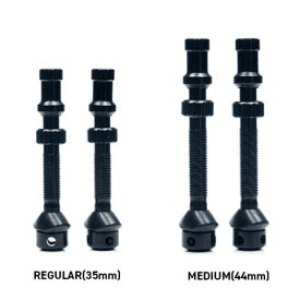 【店内全品P10倍!要エントリー8/11まで】スタンズノーチューブス UNIVERSAL＋ VALVE SET ブラック