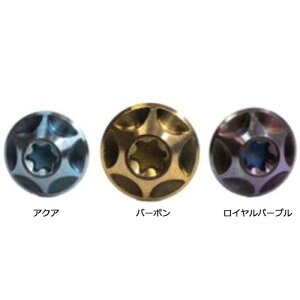 �V���J SICURO SCREWS Ti