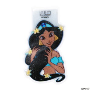 Disney(fBYj[) }OlbgtN^[ WX~