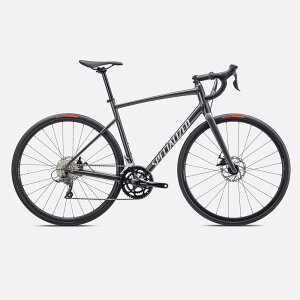 �y���������z�y����s�z23�X�y�V�����C�Y�h ALLEZ E5 DISC �O���X�X���[�N/�z���C�g/�V���o�[�_�X�g 49
