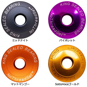�N���X�L���O NTS Stem cap 1-1/8(OS)