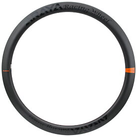 アラヤ 12RM0031TL-R リア チューブレスリムD 24H