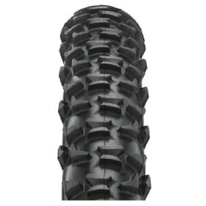 リッチー Z-MAX Evolution