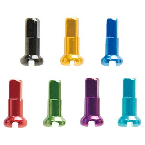 DT SWISS A~jbv 2.0×12mm 100Zbg