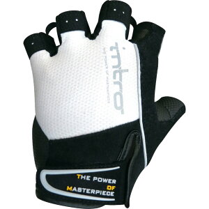 Cg XeBK[4 sAzCg uxp w؂O[u