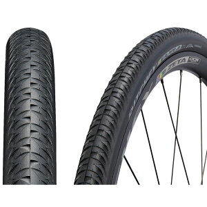 リッチー WCS ALPINE JB 700×35 チューブレスレディ