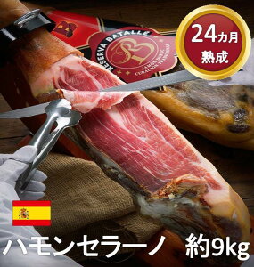 BATALLE fbN nZ[m XyCY 24 nn t  9kg n ①  l