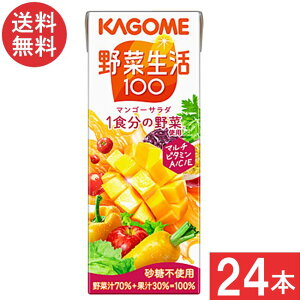 JS ؐ100 }S[T_ 200ml 24{ 1P[X
