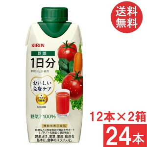  L ƉuPA   ؏`100 pbN 330ml ×2 y24{z