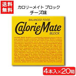 ː J[Cg ubN `[Y4{×20 h{ 󕠉 y `[Y