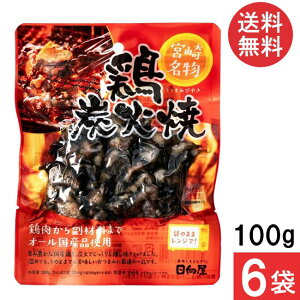 宮崎名物 日向屋 鶏炭火焼 100g 6袋 国産 無添加 焼き鳥 焼鳥 やきとり