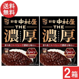 新宿中村屋 THE 濃厚 リッチスパイシーカリー 160g×2箱