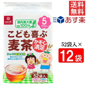 ͂΂ ǂԔ 416gi8g×52ܓj12