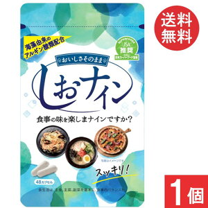 gCfBJ iC 48JvZ×1 H|WeBuɂTvg