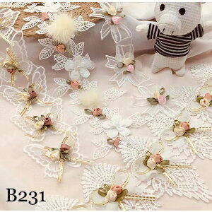 [X{ ԕ nhCh r[Yt EFfBOhXp[c@P1m B231