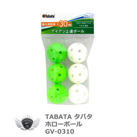 TABATA タバタ ホローボール アイアンショット向き練習用ゴルフボール6球入り GV-0310【飛距離】【室内】