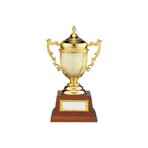 D  St Ry J V-Shika ZNV St }[uJbv MC.1343-B B yIRz