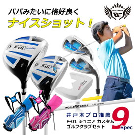 ゴルフ　ジュニア カスタム クラブ5本セット 身長にあわせてシャフトをカット　ボーイズ ガールズ ドライバー フェアウェイウッド アイアン ウェッジ パター 軽量スタンドバッグ DR用ヘッドカバー【add-option】