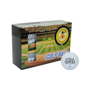 Stpi Ehpi St{[ v싅INPBI\tgoNz[NX St{[ 6 SBBA-4752 yIRz