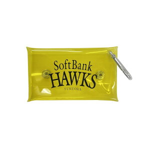 |[` ~jg[gobO EhobO v싅INPBI\tgoNz[NX NAP[X SBAC-5736 yIRz