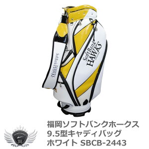 St Y LfB obO v싅 NPBI\tgoNz[NX 9.5^LfBobO zCg SBCB-2443 yIRz