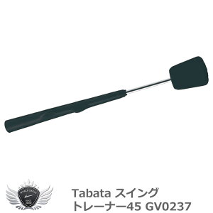 TABATA スイングトレーナー45 GV0237
