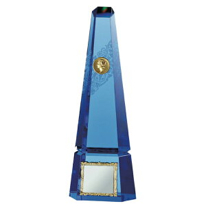 D  St Ry J gtB[ VT3113 C yIRz