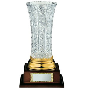 D  St Ry J fVXJbv VC1029 D yIRz