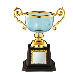 D  St Ry J fVXJbv VC1008 C yIRz